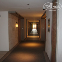 фото из отзыва ID 2577434