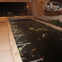 фото из отзыва ID 2577434