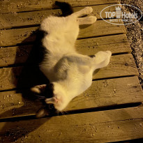 фото из отзыва ID 2577656