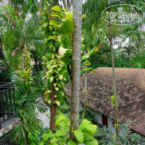 фото из отзыва ID 2577435