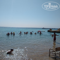 фото из отзыва ID 2577756