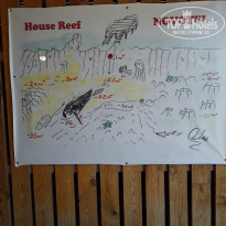 фото из отзыва ID 2577876