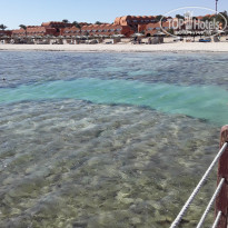 фото из отзыва ID 2577876