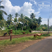 фото из отзыва ID 2577924