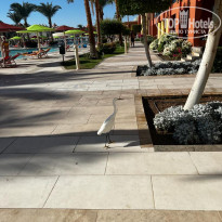 фото из отзыва ID 2577931