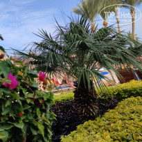 фото из отзыва ID 2577930