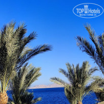 фото из отзыва ID 2577930