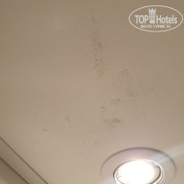 фото из отзыва ID 2578070