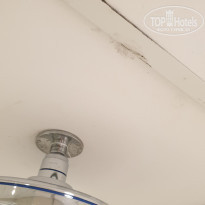 фото из отзыва ID 2578070