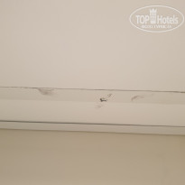 фото из отзыва ID 2578070