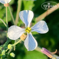 фото из отзыва ID 2578073