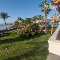 фото из отзыва ID 2578184