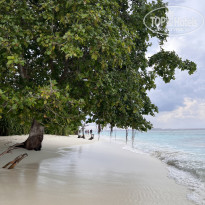 фото из отзыва ID 2578207