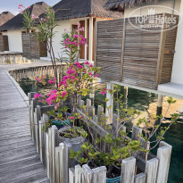 фото из отзыва ID 2578207