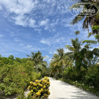 фото из отзыва ID 2578207