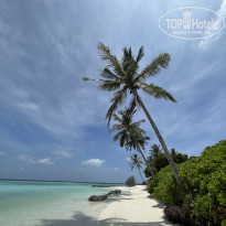 фото из отзыва ID 2578207