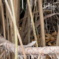 фото из отзыва ID 2578207