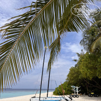 фото из отзыва ID 2578207