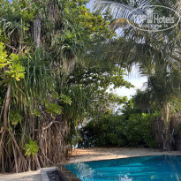 фото из отзыва ID 2578207