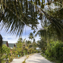 фото из отзыва ID 2578207