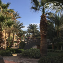 фото из отзыва ID 2578224