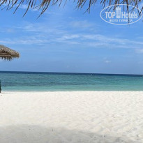 фото из отзыва ID 2578510