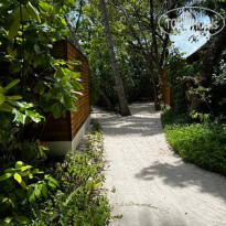 фото из отзыва ID 2578510