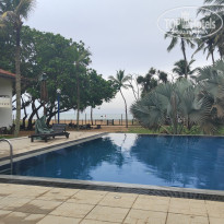 фото из отзыва ID 2578586