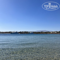 фото из отзыва ID 2578621