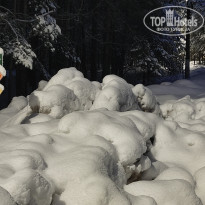 фото из отзыва ID 2578658