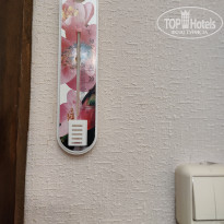 фото из отзыва ID 2578658