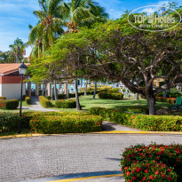 фото из отзыва ID 2578726