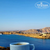 фото из отзыва ID 2578860