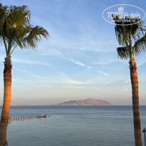 фото из отзыва ID 2578939