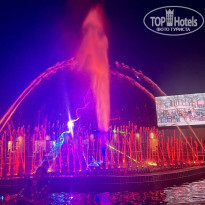 фото из отзыва ID 2578993