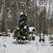 фото из отзыва ID 2579021