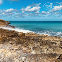 фото из отзыва ID 2579147