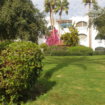 фото из отзыва ID 2579483