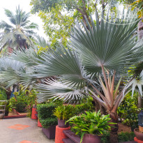 фото из отзыва ID 2579497