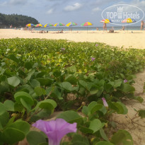 фото из отзыва ID 2579497