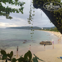 фото из отзыва ID 2579497