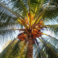 фото из отзыва ID 2579497