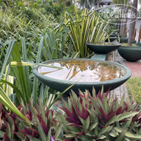 фото из отзыва ID 2579622