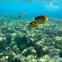 фото из отзыва ID 2579658