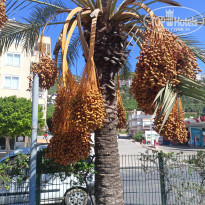 фото из отзыва ID 2579766