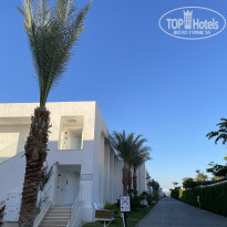 фото из отзыва ID 2579778