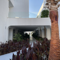 фото из отзыва ID 2579778