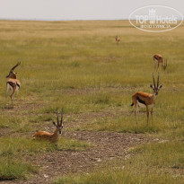 фото из отзыва ID 2579812