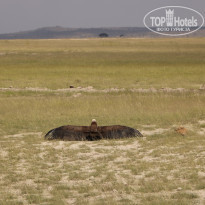 фото из отзыва ID 2579812