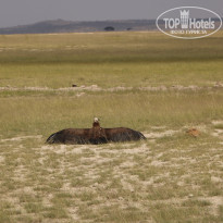 фото из отзыва ID 2579812